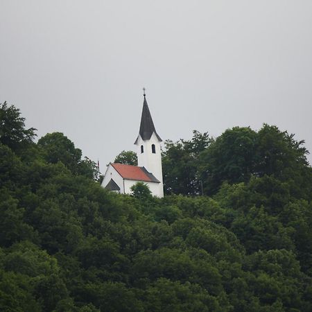 Guesthouse Ob Sotocju Budic Brežice المظهر الخارجي الصورة